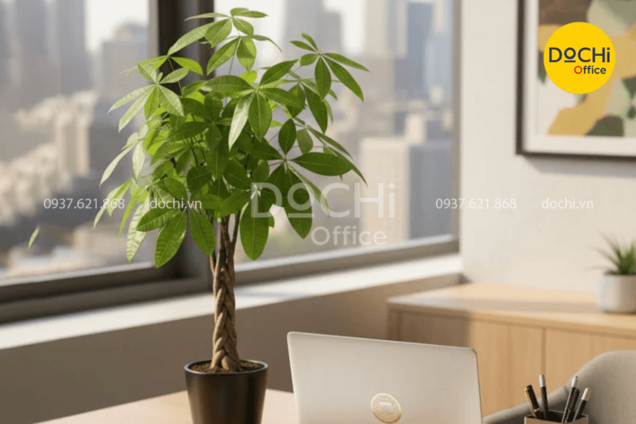 Top các vật phẩm phong thủy để bàn làm việc thu hút tài lộc